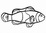 Fish Printable Coloring Outline Popular sketch template