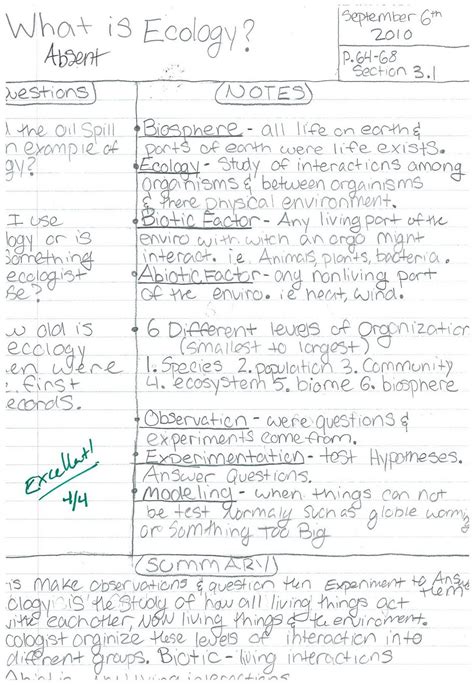 steins  period sts biology cornell notes