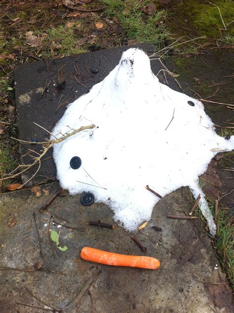 saturday   day melted snowman