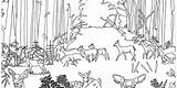 Taiga Forest sketch template