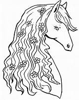 Cavalo Cavalos Comofazeremcasa sketch template