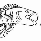 Lure Fish sketch template