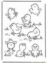 Coloring Pages Chicken Printable Chick Popular sketch template