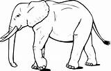 Elephant African Coloring Pages Animals Side Color Print Sheet sketch template