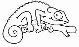 Chameleon Coloring Pages Draw Drawing Color Using Print Size Tocolor Button Searches Worksheet Recent sketch template