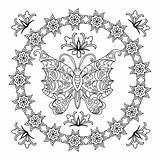Mandala Vlinder Mandalas Zentangle Mariposa Abstracte Mariposas Illustratie Imprimir 123rf sketch template