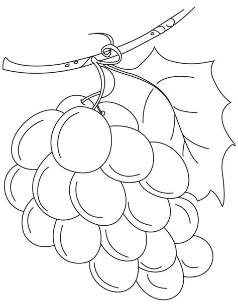fresh green grapes coloring pages fruit coloring pages fruits