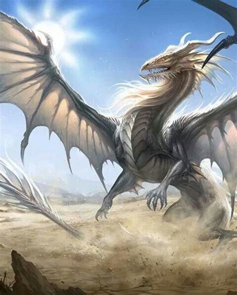 kool types  dragons cool dragons imagine dragons dragon  white