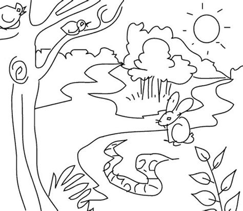 awesome jungle coloring pages jungle coloring pages coloring