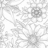 Coloring Zen Flowers Pages Knitpicks sketch template