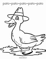 Coloring Pato Duck Print Favorites Login Add sketch template