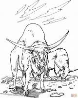 Buffalo Coloring Water Pages Outline Drawing Two Printable Main Buffaloes Color Gif Buffalos Skip Getdrawings Comments Dot sketch template