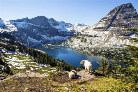 glacier national park mt losing ice fast snowbrains