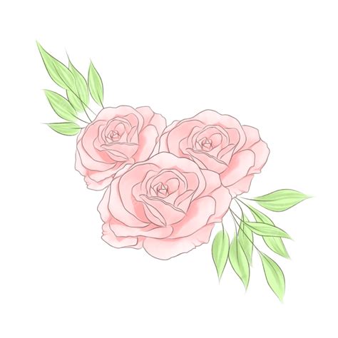 Pink Rose Bouquet Illustration Rose Illustration Flower Png