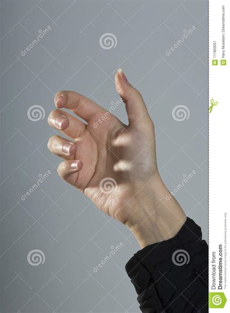 empty female hand  placing mobile phone isolated stock image image  insert holding