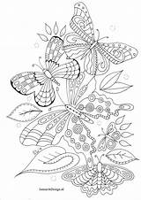 Coloring Pages Kleurplaat Volwassenen Mandala Butterflies Butterfly Print Online Choke Detailed Vlinders Adult Animal Bergsma sketch template