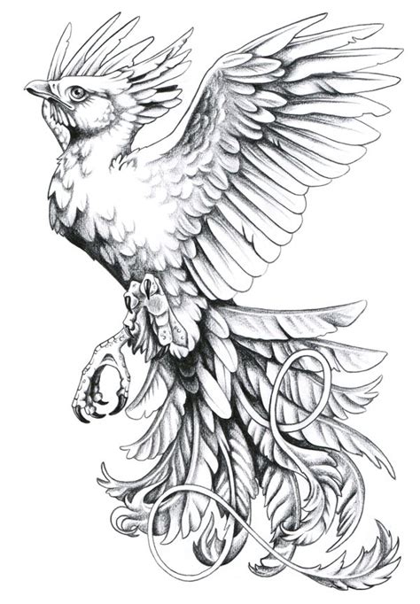 tattoo designs phoenix   collectioner