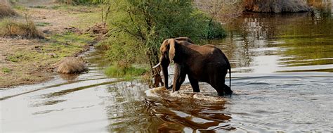 Victoria Falls To Windhoek Safari Wildlife Africa