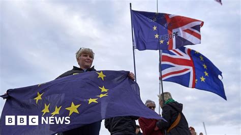 brexit peoples vote campaign group launched bbc news