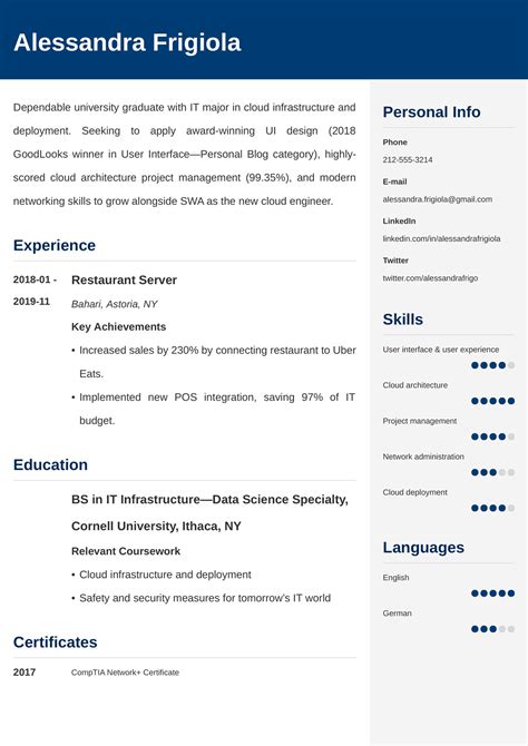 entry level cv examples template tips  beginners