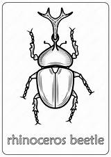 Beetle Coloring Pages Rhinoceros Animals Book Whatsapp Tweet Email sketch template