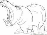 Coloring Mouth Open Hippopotamus Drawing Pages Hippo Sketch Pic Coloringpages101 Color Getdrawings Paintingvalley sketch template
