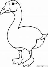 Coloringall Geese Clipartmag sketch template