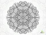Coloring Pages Hard Mandala Flower Snail Adult Pdf Colouring Printable Popular Sheets sketch template