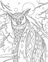 Coloring Pages Outdoor Park Hiking National Color Mountain Animals Printable Great Getcolorings Owl Adventure Hike Take Smoky Intricate sketch template