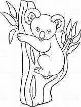 Koala Coloring Pages Baby Cartoon Cute Simple Printable Goomba Drawing Moose Animal Bear Kids Tree Vector Mario Little Doodle Smiles sketch template