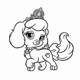 Kleurplaten Kleurplaat Honden Schattige Hond Disney Makkelijk Uitprinten Prinses Tekenen Leuk Kleuren Beste sketch template