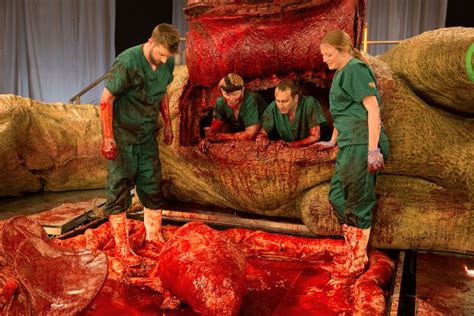 inside t rex fake autopsy reveals dino s innards live science