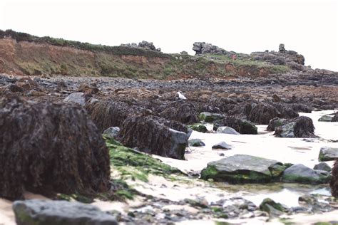 rockpooling st ives cornwall
