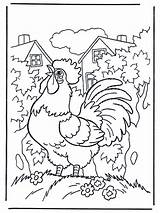 Hahn Coloring Malvorlage Haan Cock Kleurplaat Pages Funnycoloring Kostenlos Ausmalbilder Zum Animals Pets Farm Gallo Rooster Choose Board Animal Advertisement sketch template