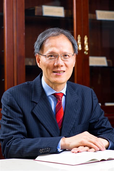 professor lin feng school  law