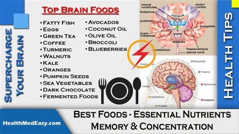 Supercharge Your Brain Brain Booster Tips What To Follow