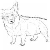 Corgi Dog sketch template