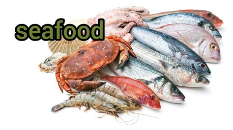 seafood names  american english youtube