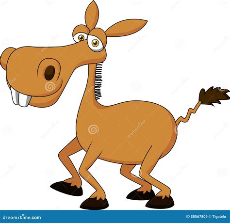 cute donkey cartoon royalty  stock images image