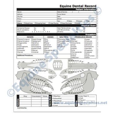 equine dental charts yahoo search results veterinarians medicine