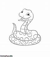 Snake Coloringpages Snakes Reptiles sketch template