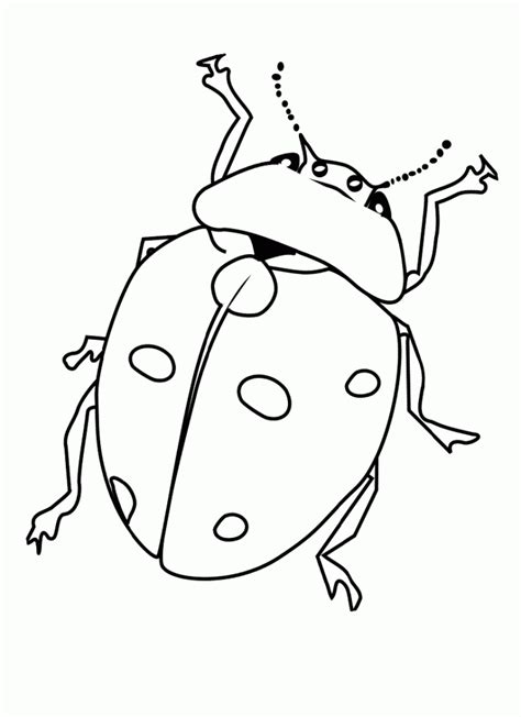 insect coloring pages  coloring home