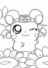 Coloring Pages Anime Manga Ausmalbilder Hamtaro Animals Kids Printable Animal Cute Girls Chibi Book Girl Kostenlos Kinder Fur Malvorlagen Drawing sketch template