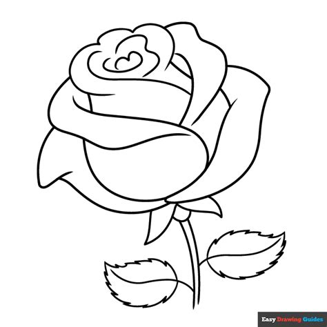 rainbow rose coloring page easy drawing guides