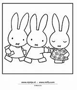 Coloring Pages Miffy Colouring Friends Sheets Adult Choose Board Color Adults sketch template