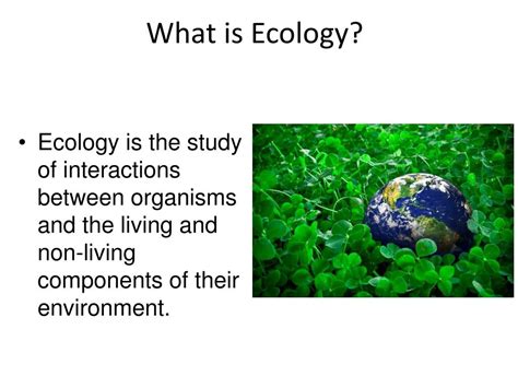 ecology powerpoint    id