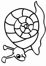 Coloriage Escargot Colorat Coquille Hugo Caracol Melci Animaux Dibujo Animale 1040 Planse Hugolescargot Mode P10 Coloriages Dessiner Coloringkids Snails Caracoles sketch template
