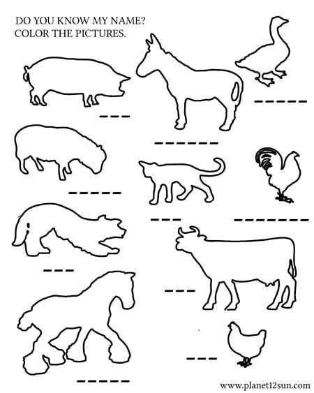 animals kids worksheets printables  worksheets  kids