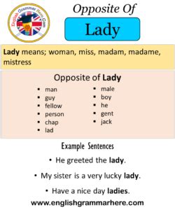 lady antonyms  lady meaning   sentences english grammar