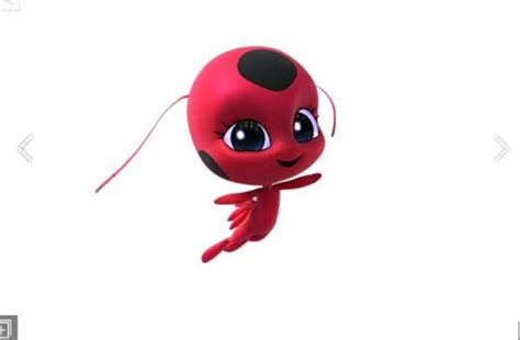 tiki wiki miraculous ladybug espanol amino